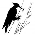 Silhouettes of Birds 7 - Woodpecker Silhouette