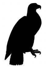 Bird Silhouette 9 - Eagle Silhouette
