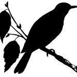 Free Bird Silhouettes 4 - Wood Thrush