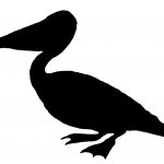 Free Bird Silhouettes 6 - Big Beaked Pelican