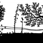 Silhouettes of Trees 7 - Trees And Birds