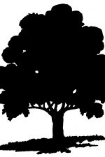 Tree Silhouettes 1 - Oak Tree Silhouette