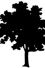 Tree Silhouettes 3 - Ash Tree Silhouette