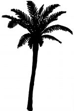 Tree Silhouettes 6 - Palm Tree Silhouette