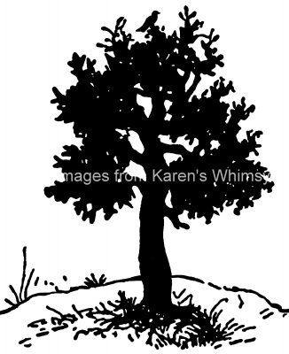 Tree Silhouettes 7 - Scrub Oak Silhouette