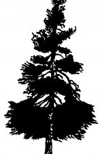 Free Tree Silhouettes 1 - Larch Tree