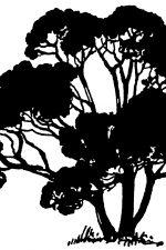 Free Tree Silhouettes 2 - Hawthorne Tree