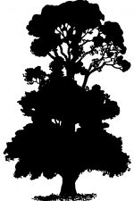 Free Tree Silhouettes 5 - Elm Tree