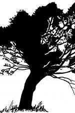 Free Tree Silhouettes 6 - Pollard Willow