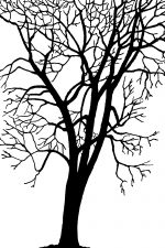 Free Tree Silhouettes 8 - Winter Sycamore