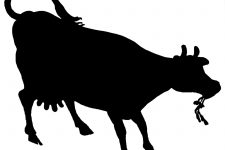 Animal Silhouette 10 - Cow Chewing Grass