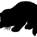 Black Cat Silhouettes 7