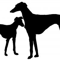 Silhouettes of Dogs