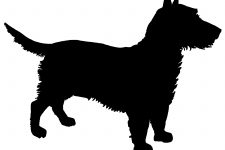 Silhouettes of Dogs 5 - Scottish Terrier Silhouette