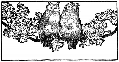 Cartoon Owl Pictures 2 - Two Owls on a Branch