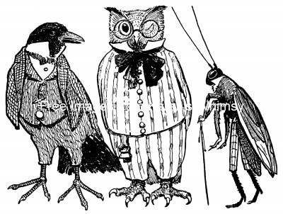 Cartoon Owl Pictures 5 - Owl, Crow and Grasshopper