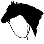 Horse Head Silhouette 4