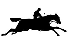 Racehorse Silhouette 6