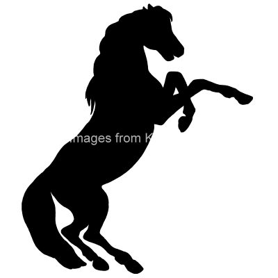 Rearing Horse Silhouettes 8