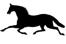 Horse Silhouette Image 10