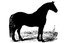 Horse Silhouette Image 11