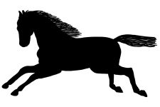 Horse Silhouette Image 12