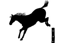Horse Silhouette Image 16