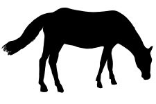 Horse Silhouette Image 2