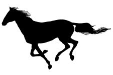 Horse Silhouette Image 3