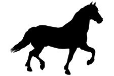 Horse Silhouette Image 5