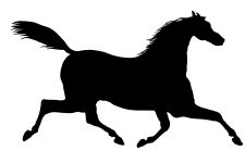 Horse Silhouette Image 6