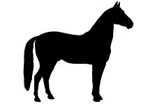 Horse Silhouette Image 7