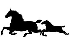 Horse Silhouette Image 8