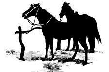 Horse Silhouette Image 9