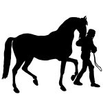 Horse Silhouettes 10 - Walking Horse Silhouette
