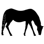 Horse Silhouettes 14 - Horse Grazing Drawing