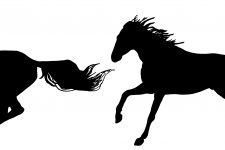 Horse Silhouette Clip Art 16 - Running Horses Silhouette