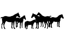 Horse Silhouette Clip Art 10 - Herd of Horses
