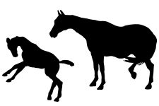 Horse Silhouette Clip Art 5 - Horse Silhouette Graphics