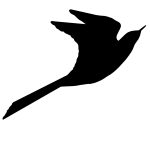 Flying Bird Silhouette 12 - Grey Wagtail Bird
