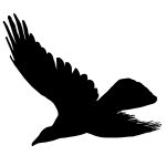 Flying Bird Silhouette 1 - Hooded Crow Silhouette