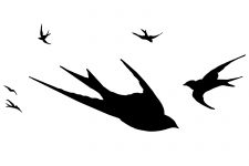 Bird Flying Silhouette 10 - Swallow Silhouette Images