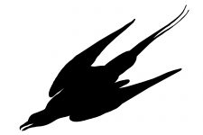 Bird Flying Silhouette 12 - Silhouette of Bird in Flight