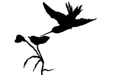 Bird Flying Silhouette 4 - Hummingbird Silhouette Clip Art