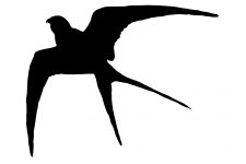 Bird Flying Silhouette 5 - Large Bird Silhouette