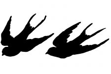 Bird Flying Silhouette 6 - Silhouette of Birds Flying