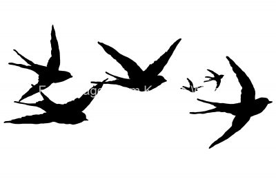 Bird Flying Silhouette 11 - Swallow Birds Silhouettes