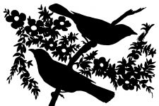 Bird on Branch Silhouette 2 - Two Bird Silhouette Images