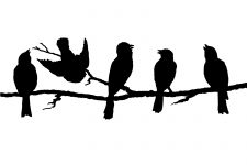 Bird on Branch Silhouette 7 - Little Birds on Branches