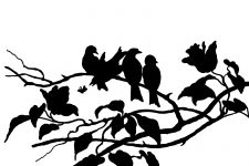 Bird on Branch Silhouette 9 - Flock of Birds